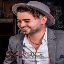 دانلود آهنگ جدید حمیدرضا نیک بین به نام دل میبری